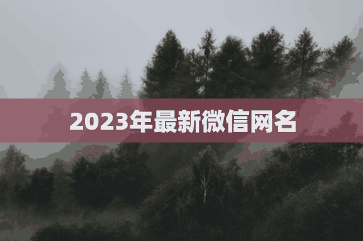 2023年最新微信网名